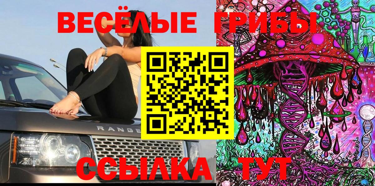 где продают наркотики  Вход с VPN  Когалым  Псилоцибиновые грибы Magic Shrooms  Галлюциногенные грибы Cubensis 