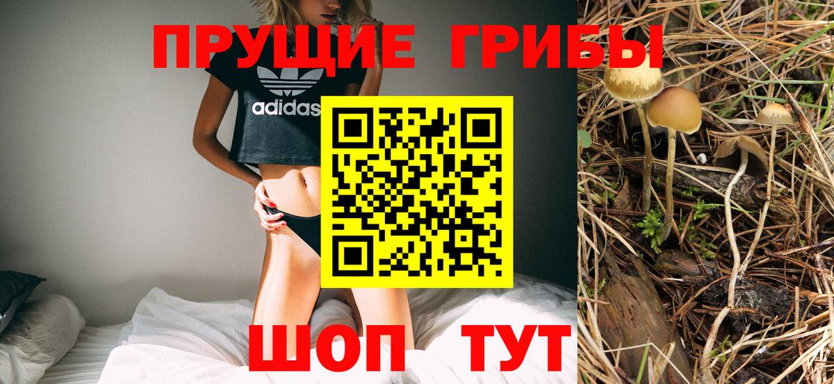 Галлюциногенные грибы Psilocybe Когалым